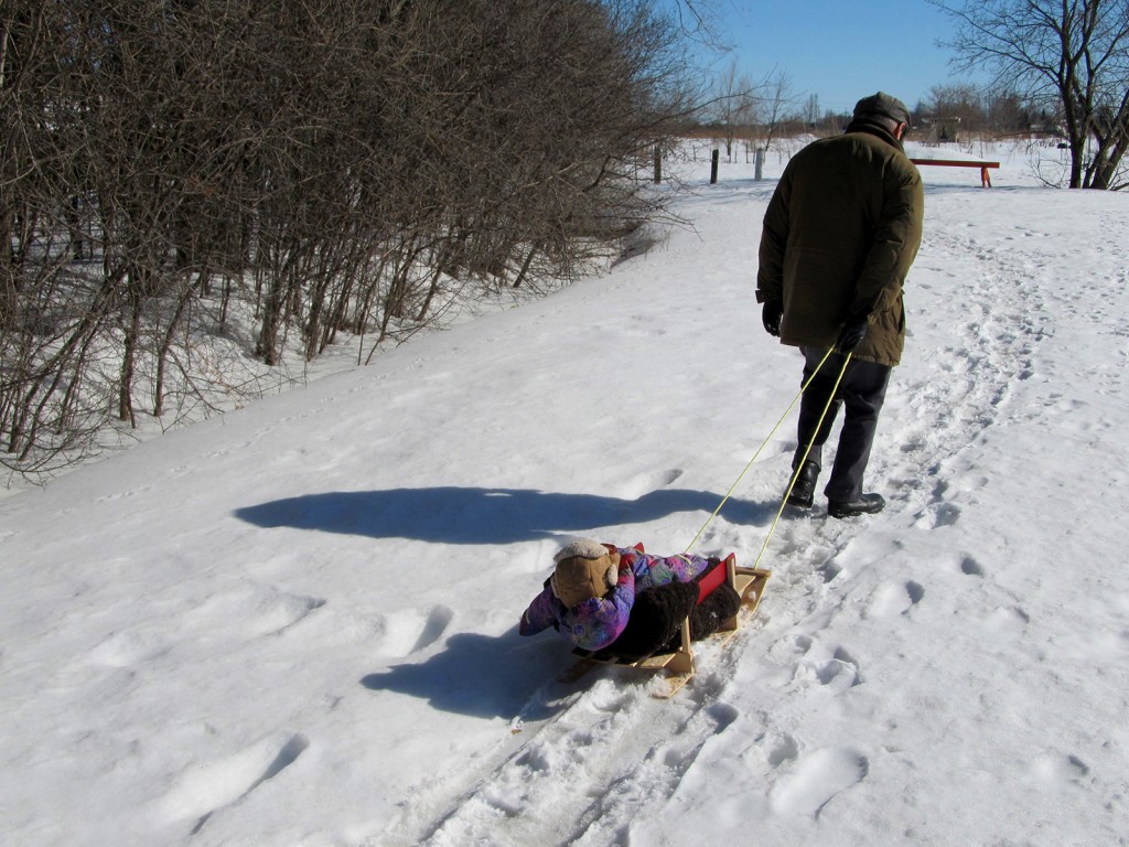 Fitz-29weeks-ottawa-sled-grandpa_0216