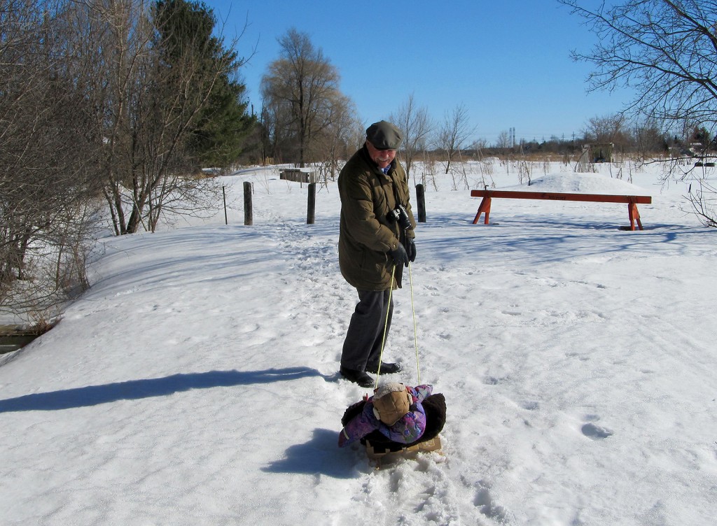 Fitz-29weeks-ottawa-sled-grandpa_0217