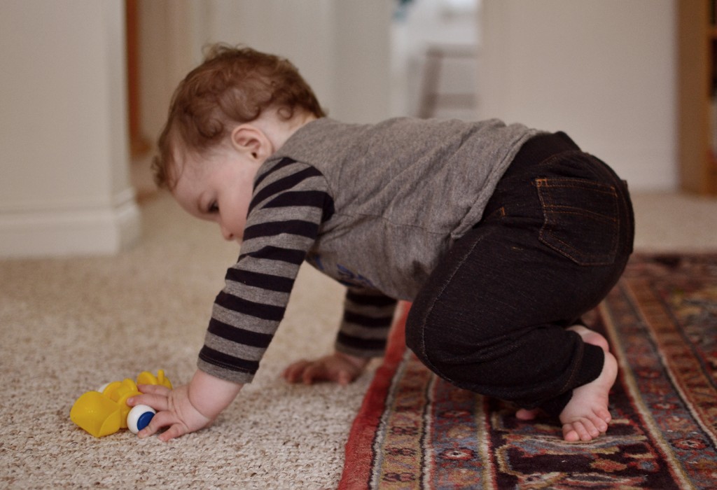 Fitz-47-weeks-Gatineau-crawling_2797