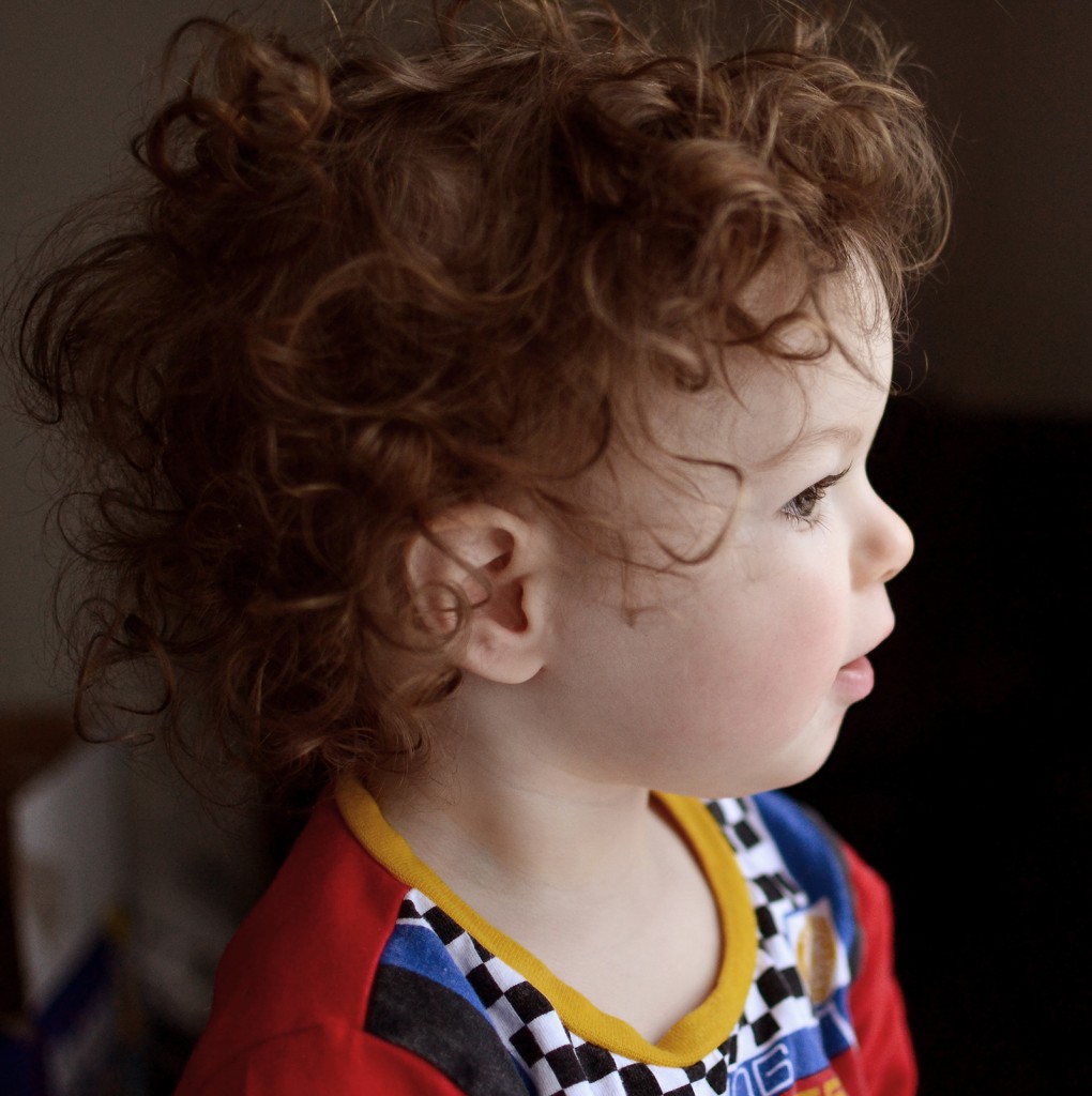 Fitz 1 Year Feb 2015 profile big hair _5504