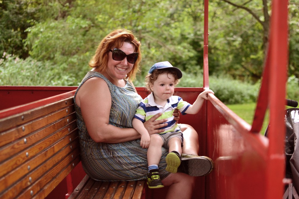 Fitz 1 Year July 2015 Heather High Park train _6816