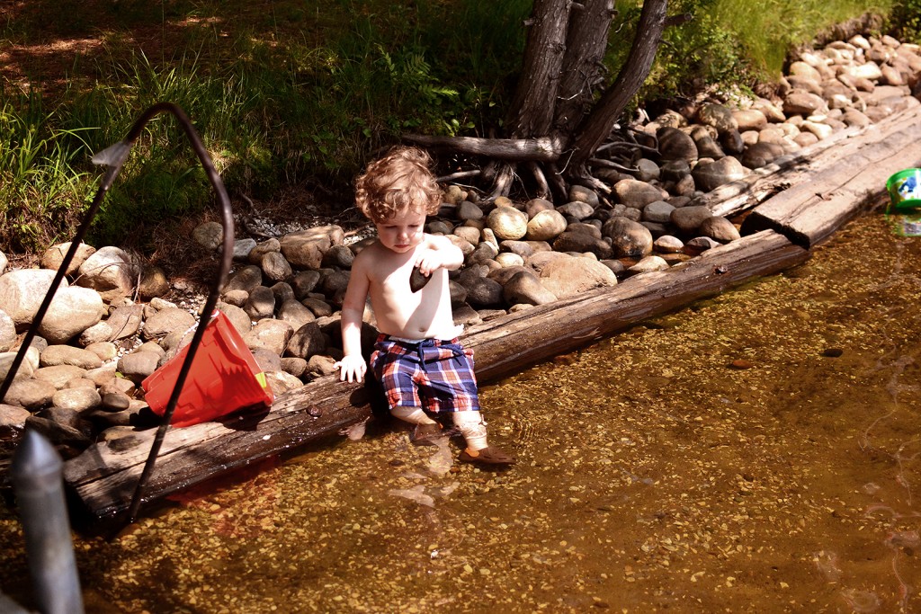 Fitz 1 year July 2015 Cottage Huntsville shoreline rocks _6698