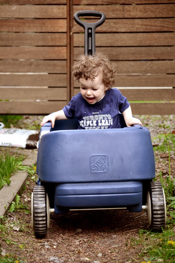 Fitz 1 year May 2015 wagon _5866