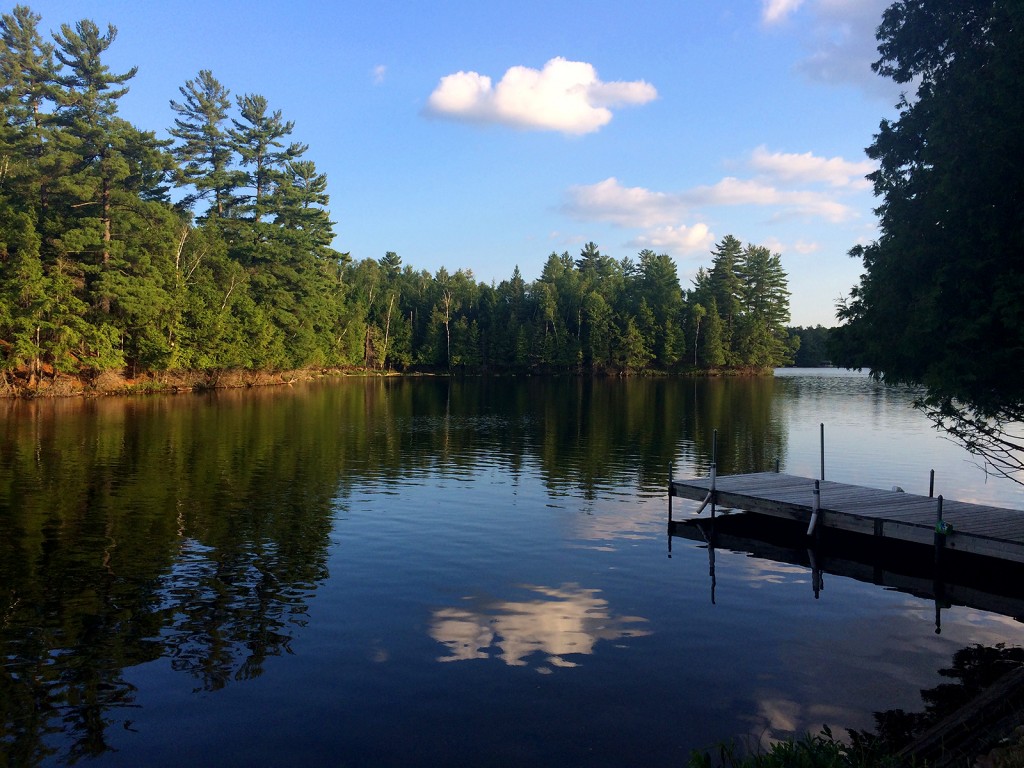 Lake Waseosa July 2015 Cottage Hunstville _3101