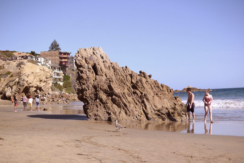 April 2016 Corona Del mar beach _9216