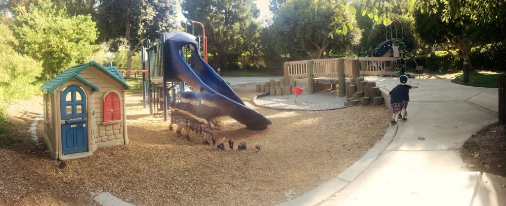 Fitz 2 years April 2016 LA park panorama _4893