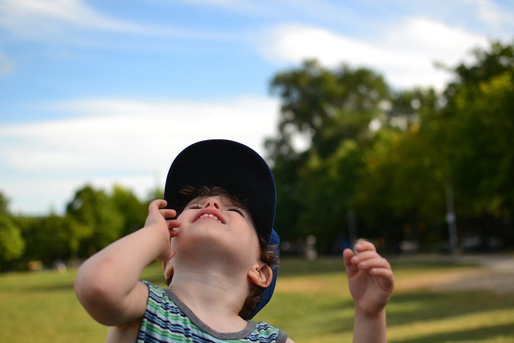 Fitz 2 years Aug 2016 looking up at park _0823