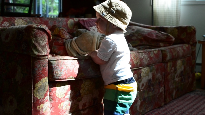 Cottage Videos: Fitz pulling up, throwing, and hanging out on the dock